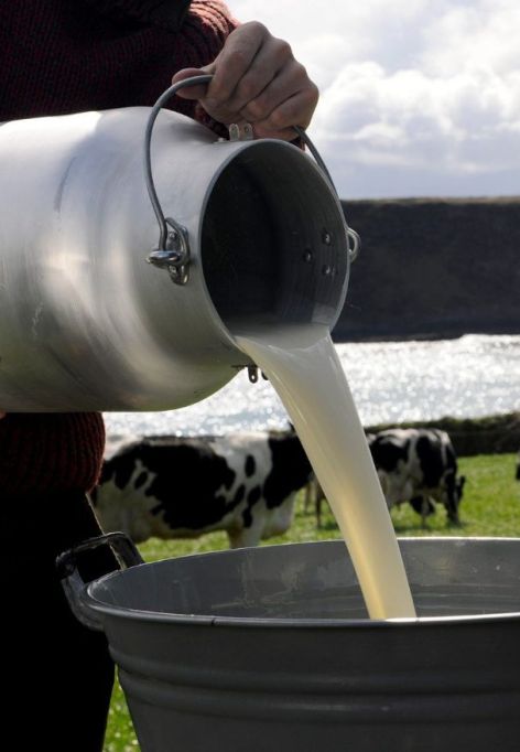 Eine Person gießt im Freien frische Milch aus einer Kerrygold Kanne in einen großen Eimer. Im Hintergrund grasen schwarz-weiße Kühe auf grünem Gras in der Nähe eines Sees und Hügeln.