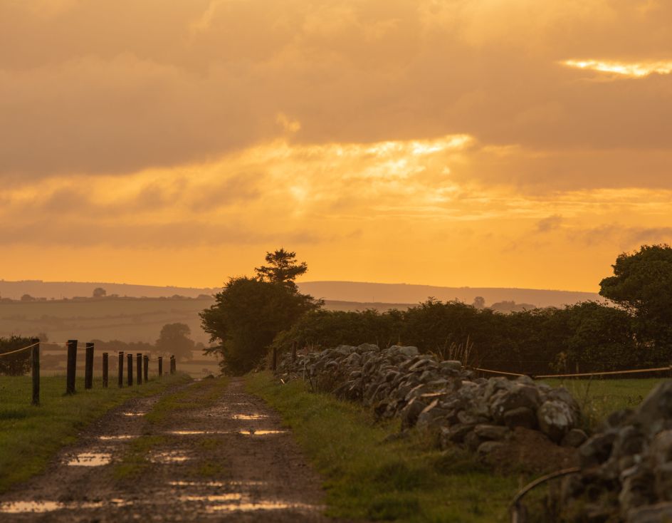 Ein ländlicher Feldweg verläuft zwischen einer Steinmauer und einem Zaun, wobei schlammige Pfützen das goldene Licht eines dramatischen Sonnenuntergangs reflektieren – er fängt die Ruhe einer Irlandreise ein und lässt jeden Schritt wie einen versteckten Gewinn in den sanften Hügeln und fernen Bäumen erscheinen.