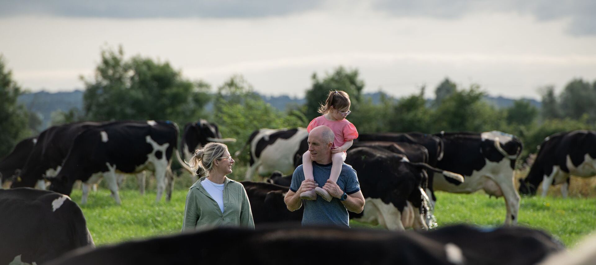 Ein Mann trägt ein kleines Kind auf seinen Schultern, während er neben einer Frau durch eine Wiese mit grasenden schwarz-weißen Kühen unter einem bewölkten Himmel geht – eine Szene, die an die irische Landwirtschaft erinnert, wo die Reise der Kerrygold Butter beginnt.