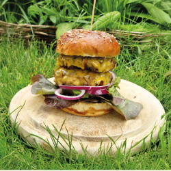 Ein Webo Doppel-Cheeseburger mit Salat und roten Zwiebeln liegt auf einem Holzbrett im Gras, umgeben von grünen Pflanzen. Ein Holzspieß hält diesen Traumburger zusammen.