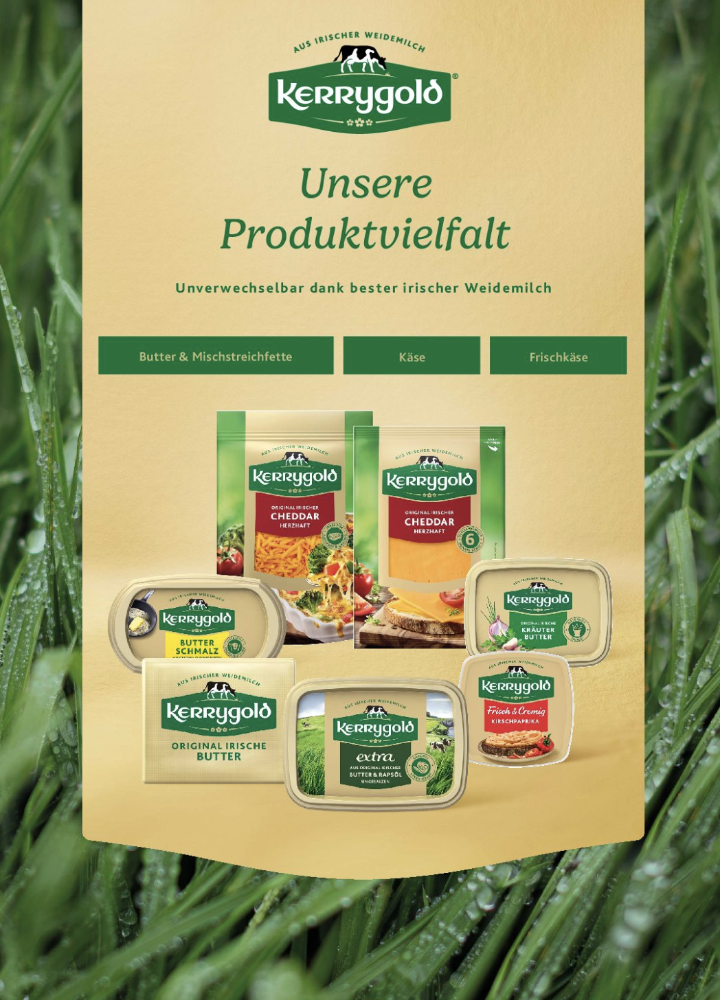 Kerrygold-Produktdisplay auf grasbewachsenem Hintergrund mit verschiedenen Butter-Produkten wie irischem Cheddar-Käse, Butter und Aufstrichen in grüner, gelber und goldener Verpackung mit deutschem Text, der die Sorte für den Händlerbereich beschreibt.