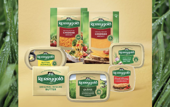 Eine Präsentation verschiedener Kerrygold Käse-Produkte, darunter Käseblöcke, -scheiben und Butter, vor taufrischem Gras. Der deutsche Text hebt die Produktvielfalt und -qualität von Kerrygold für Foodservice-Profis hervor.