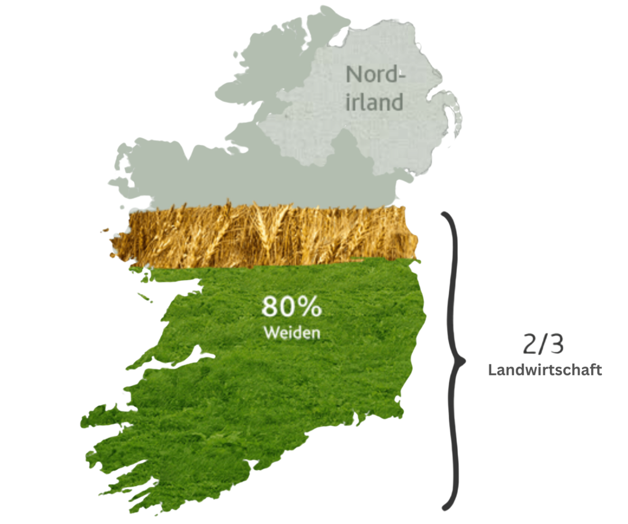 Karte von Irland mit 80 % Weideland (grün) im Süden und in der Mitte, Nordirland in grau und einem Streifen Ackerland (Weizen) in der Mitte. Der Text zeigt an, dass zwei Drittel des Landes für die Landwirtschaft genutzt werden.