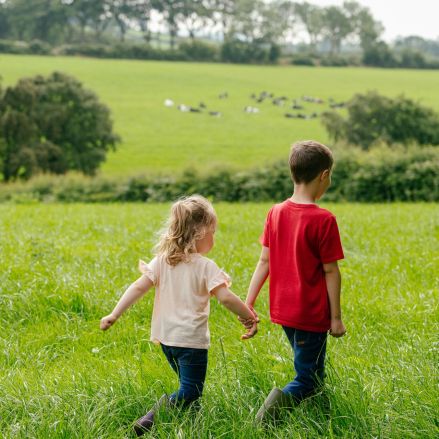 Zwei kleine Kinder, ein Mädchen und ein Junge, halten sich an den Händen, während sie durch ein grasbewachsenes Feld laufen. Im Hintergrund grasen Kühe auf einer grünen, von Bäumen umgebenen Weide an einem hellen Tag, was die Harmonie und Nachhaltigkeit des Landlebens widerspiegelt.