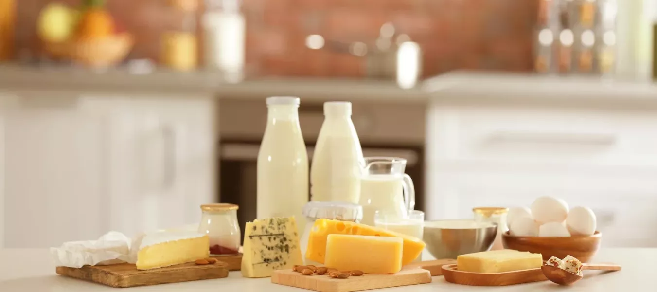 Verschiedene Milchprodukte, darunter laktosereiche Milch in Flaschen, Käse, Butter und Joghurt, sind zusammen mit Eiern und Nüssen auf einer weißen Küchentheke angeordnet. Im Hintergrund ist eine unscharfe Küche mit einer Backsteinwand zu sehen.