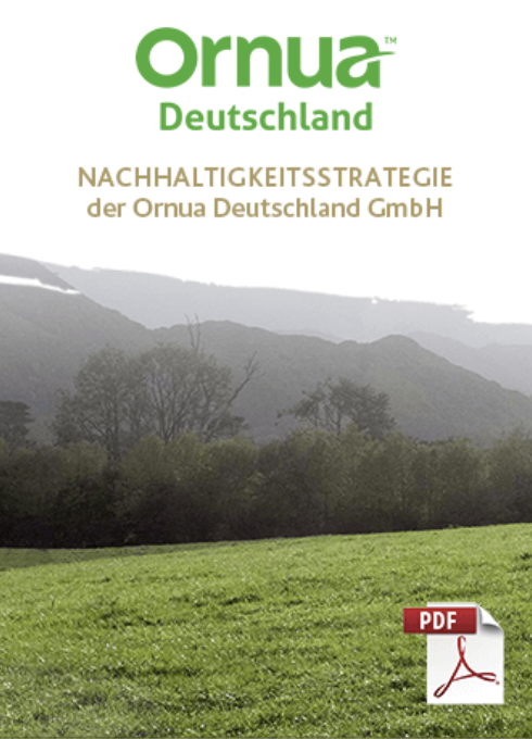 Umschlag eines PDF-Dokuments mit dem Titel NACHHALTIGKEITSSTRATEGIE der Ornua Deutschland GmbH mit dem Ornua Deutschland-Logo über einem grasbewachsenen Feld und fernen Hügeln sowie einem kleinen roten PDF-Symbol in der Ecke.