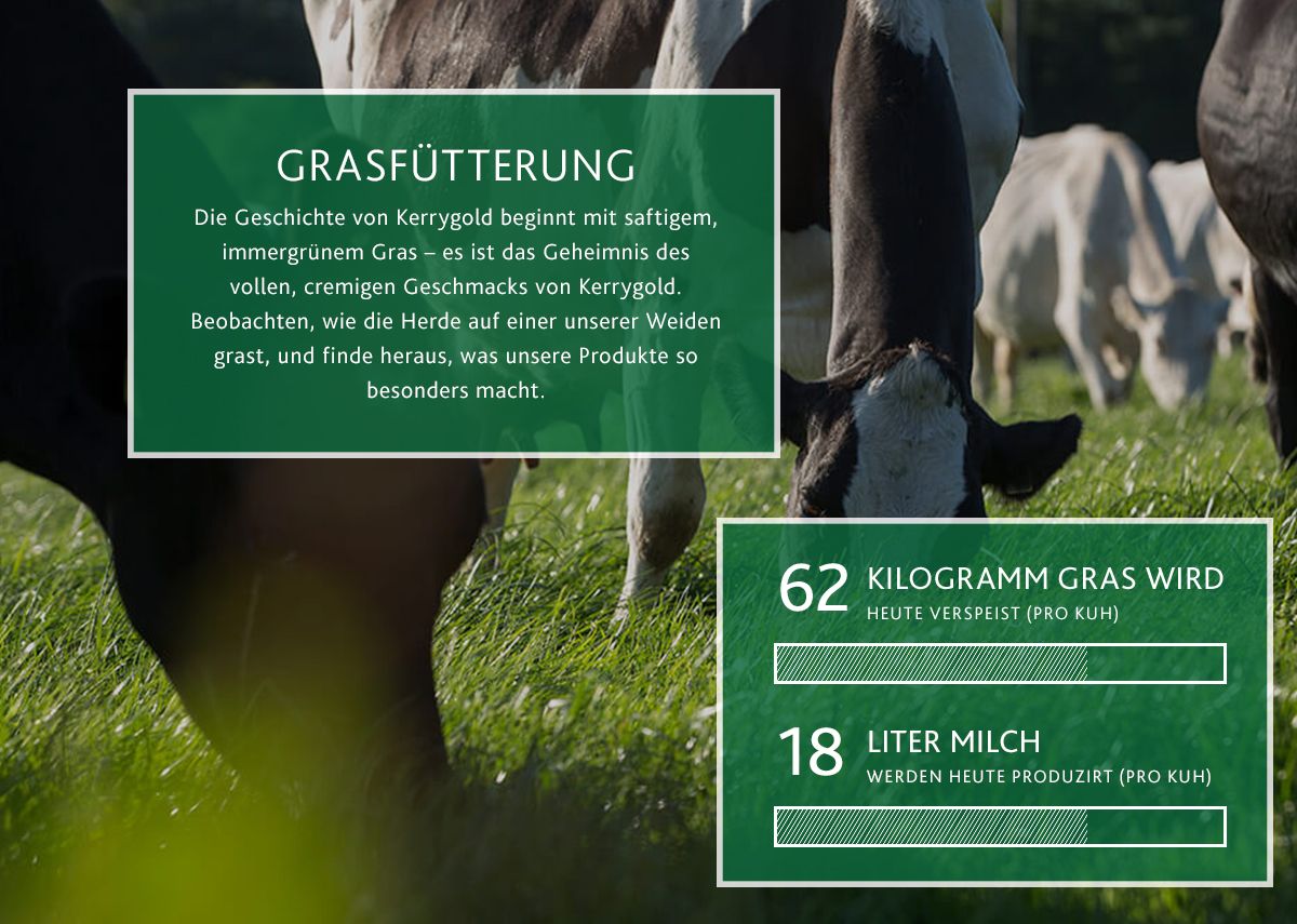 Kühe grasen auf einer saftig grünen Weide. Der eingeblendete Text in deutscher Sprache beschreibt die Grasfütterung und liefert Statistiken: 62 kg Gras werden täglich verzehrt und 18 Liter Milch pro Kuh produziert.