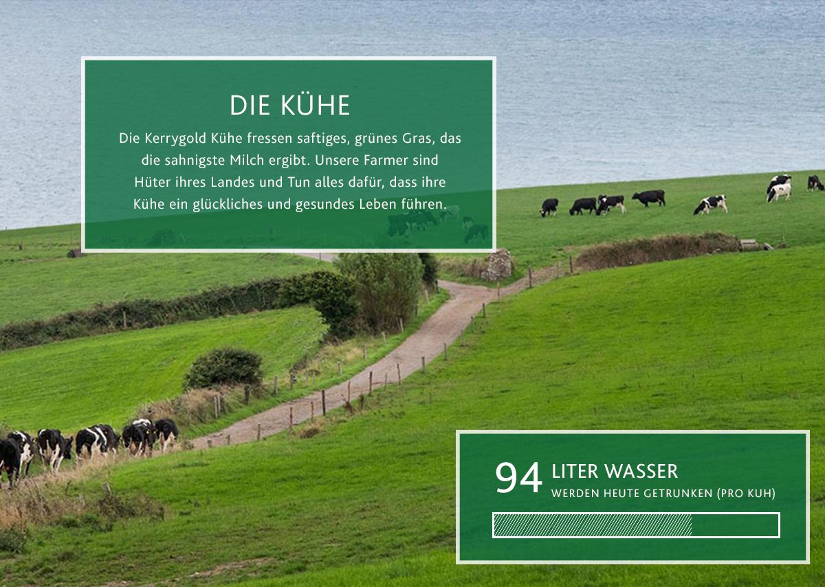 Eine grüne Weide mit Kühen, die in der Nähe eines gewundenen Weges grasen, mit Blick auf Wasser. In einem Textfeld wird hervorgehoben, dass die Kerrygold-Kühe Irische Weidehaltung und frisches Gras genießen, während in einem weiteren Textfeld vermerkt wird, dass jede Kuh heute 94 Liter Wasser getrunken hat.