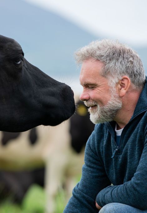 Ein lächelnder Mann mit grauem Haar und Bart hockt im Gras während er einer schwarzen Kuh zugewandt ist und ihr sanft die Nasen berührt. Im Hintergrund sind weitere Kühe und eine verschwommene Landschaft zu sehen.