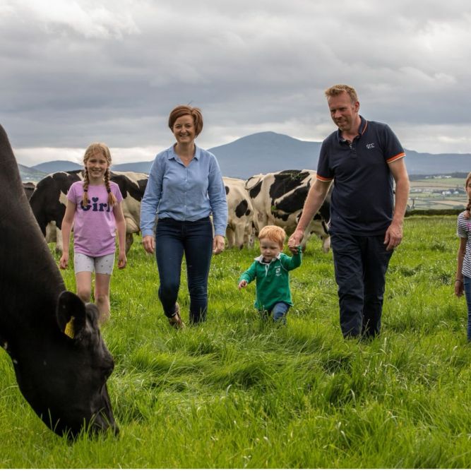 Eine fünfköpfige Familie, darunter zwei Erwachsene und drei Kinder, spaziert über eine grasbewachsene Wiese auf den Farmen, vorbei an grasenden Kühen unter einem wolkenverhangenen Himmel mit Bergen im Hintergrund.