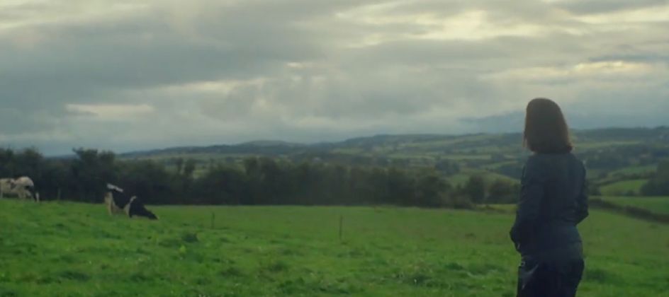 Eine dunkel gekleidete Person steht auf einer grasbewachsenen Wiese und blickt auf grasende Kühe unter einem wolkenverhangenen Himmel, mit sanften Hügeln und Bäumen in der Ferne.