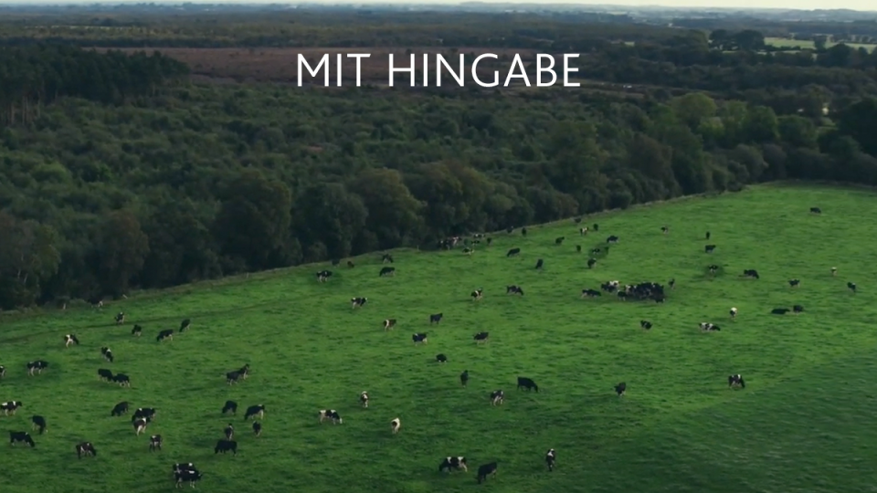 Eine saftig grüne Wiese mit vielen grasenden Kühen, umrandet von dichten Bäumen, unter einem bedeckten Himmel. Die deutschen Worte "MIT HINGABE " erscheinen in weißer Schrift oben in der Mitte.