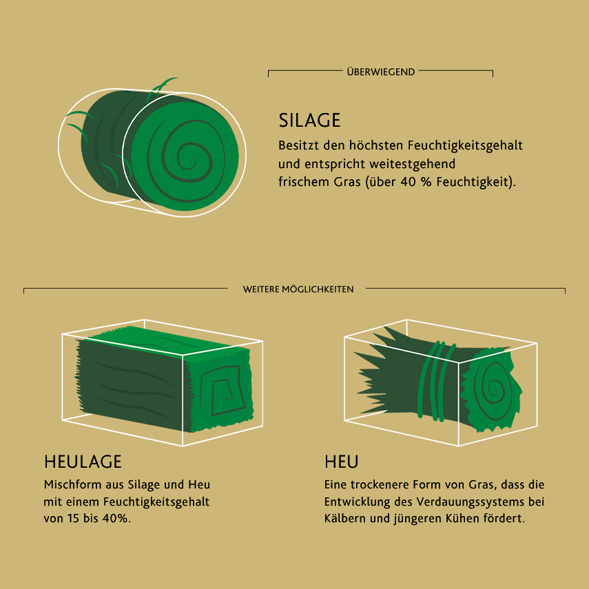 Eine Infografik in deutscher Sprache, die drei Arten von Futtermitteln zeigt: Silage (Rundballen, feucht), Heulage (Mischung, Quaderballen) und Heu (trocken, rechteckige Ballen), jeweils mit kurzen Beschreibungen und Abbildungen.