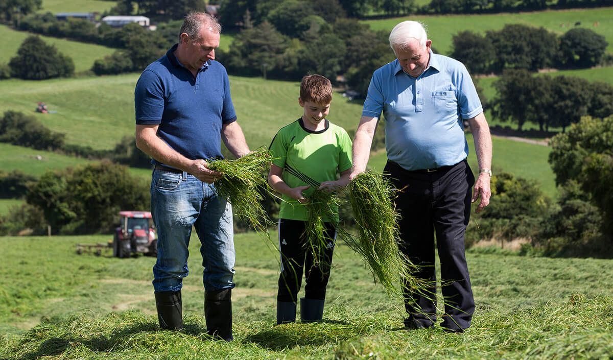 Drei Personen, zwei Erwachsene und ein Kind, stehen in einem grasbewachsenen Feld und untersuchen lange Grashalme. Im Hintergrund sind grüne Hügel und Bäume zu sehen, in der Ferne ein roter Traktor.