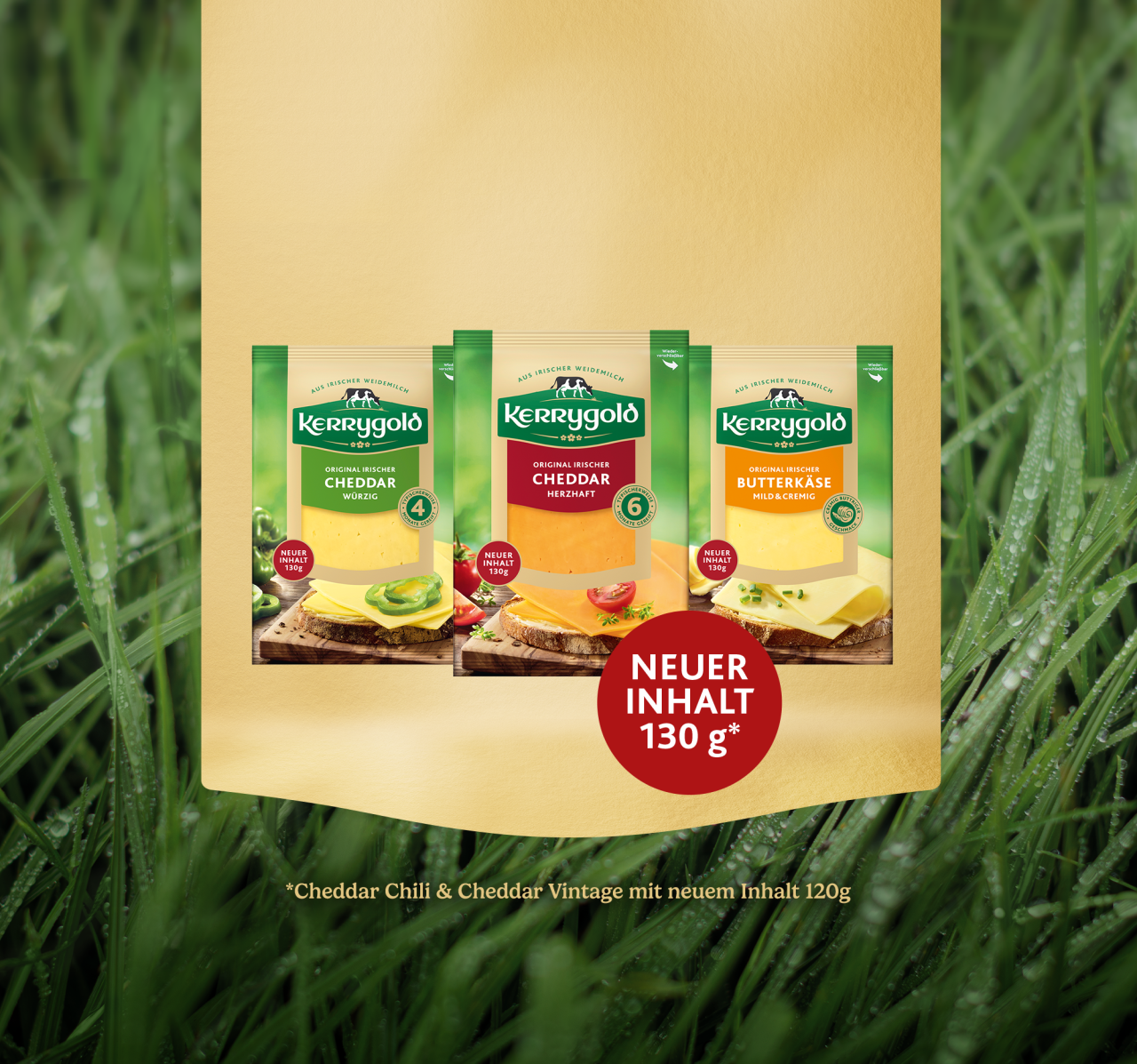 Drei Packungen Kerrygold Käse (Cheddar würzig, Cheddar herzhaft, Butterkäse) sind auf einem goldenen Hintergrund über grünem Gras abgebildet, mit einem roten Kreis, auf dem Neuer Inhalt 130g steht.