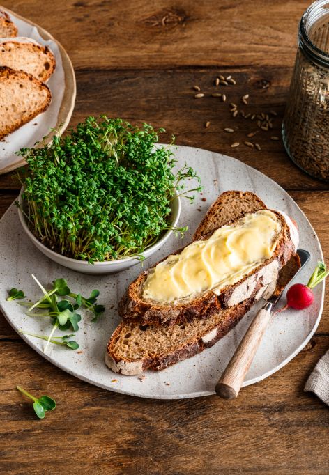 Auf einem rustikalen Holztisch liegen mehrere Scheiben knuspriges Brot, frische Radieschen, eine mit Butter bestrichene Brotscheibe, eine kleine Schale mit grünen Sprossen, ein Glas mit Körnern sowie eine gefaltete beigefarbene Stoffserviette.