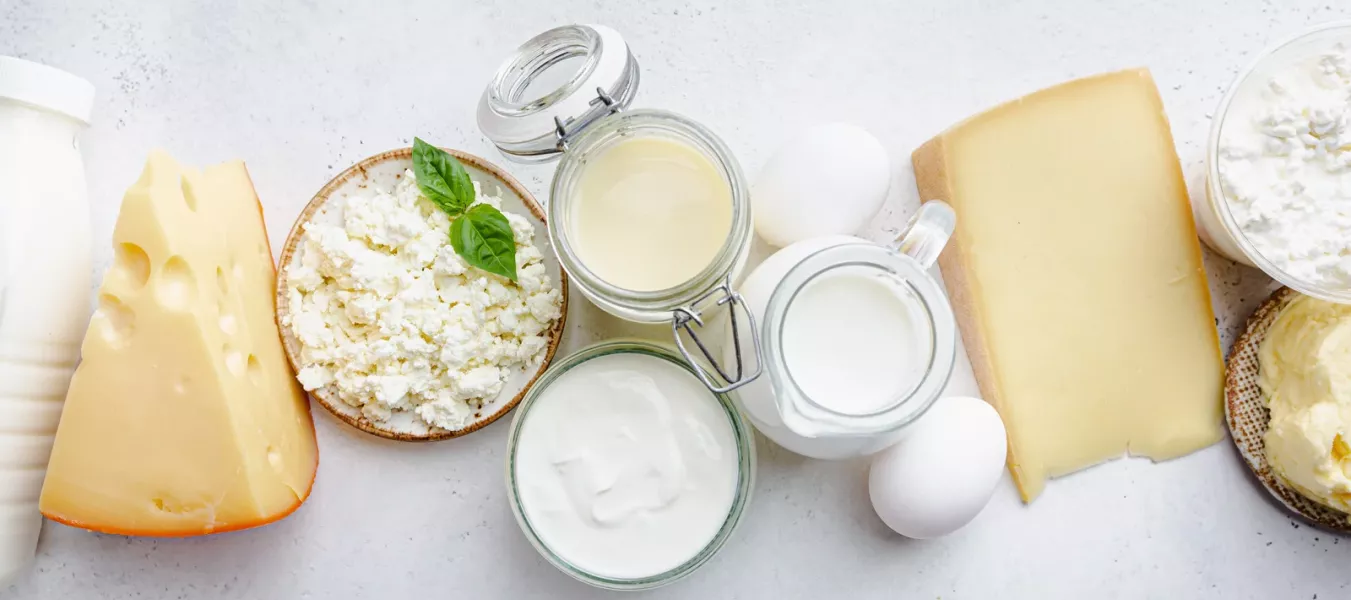 Verschiedene Milchprodukte auf einer hellen Oberfläche: eine Milchflasche, ein Stück Schweizer Käse mit Löchern, zwei Schalen mit Hüttenkäse (eine davon mit Basilikum), zwei Gläser mit Milch und Sahne, ein offenes Glas mit flüssigem Inhalt, zwei Eier, ein kleiner Milchkrug, ein Stück Hartkäse und ein Stück Butter.