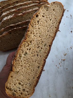 Nahaufnahme eines aufgeschnittenen Brotes mit dichter, gleichmäßiger Porung und gut gebackener Kruste. Eine Brotscheibe wird in den Vordergrund gehalten, im Hintergrund liegen weitere Scheiben.
