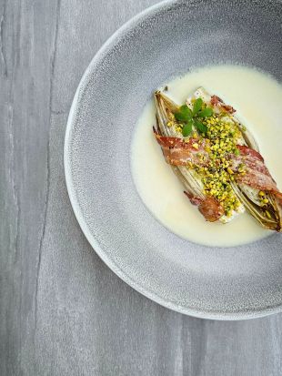 Geschmorter Chicorée, in Bacon gewickelt, serviert in cremiger Zwiebel-Velouté, garniert mit gehackten Pistazien und einem Petersilienzweig, angerichtet auf einem grauen Teller.