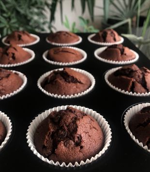 Zwölf frisch gebackene Schokomuffins in einem schwarzen Muffinblech, gleichmäßig verteilt.